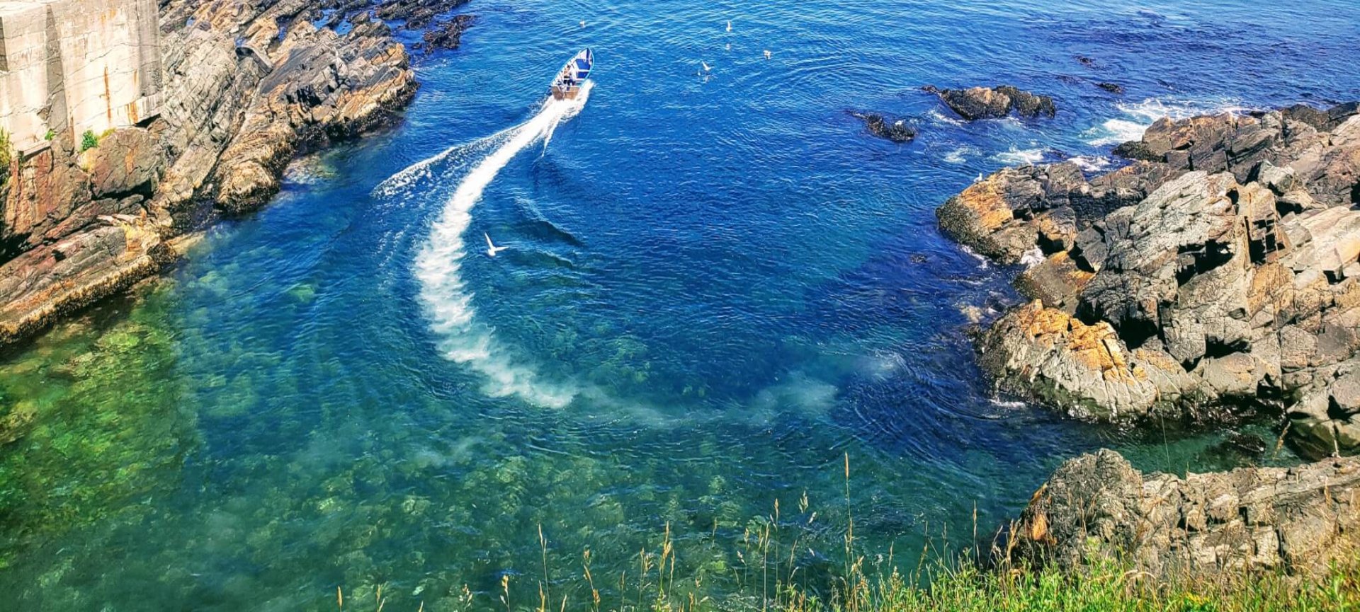 Pouch Cove Public Library Pouch Cove